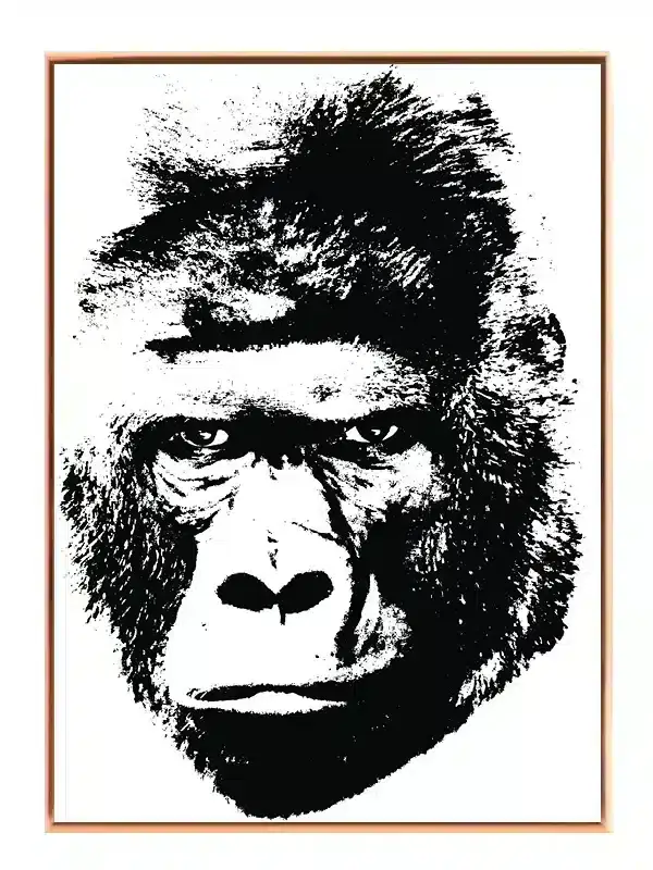 Silverback Gorilla Close Up Plakat