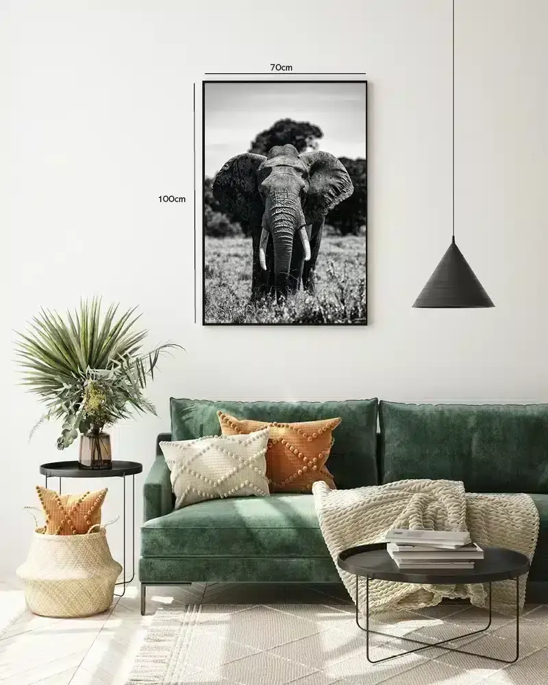Elephant Front View Plakat