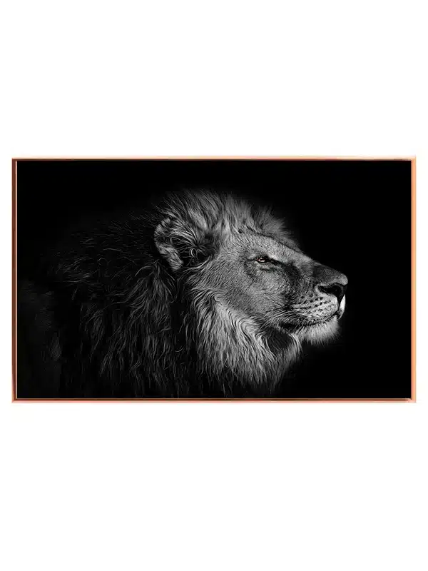 Lion Portrait Plakat