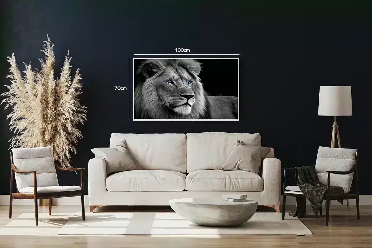 Lion With Blue Eyes Plakat