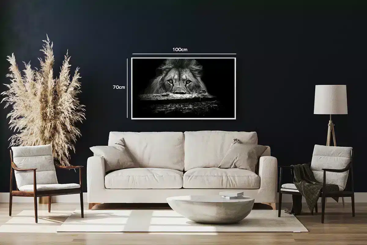 Lion Stare Plakat