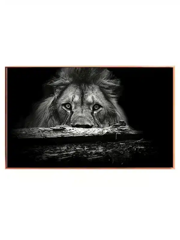 Lion Stare Plakat