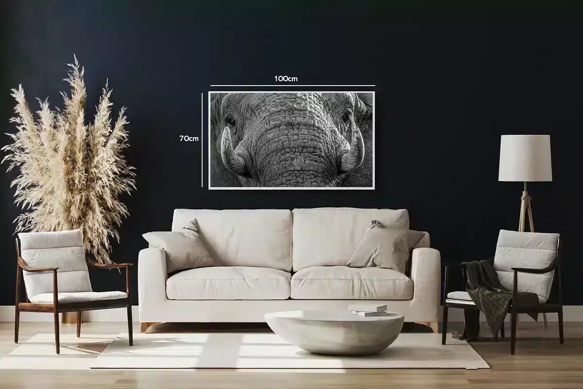 African Elephant Plakat
