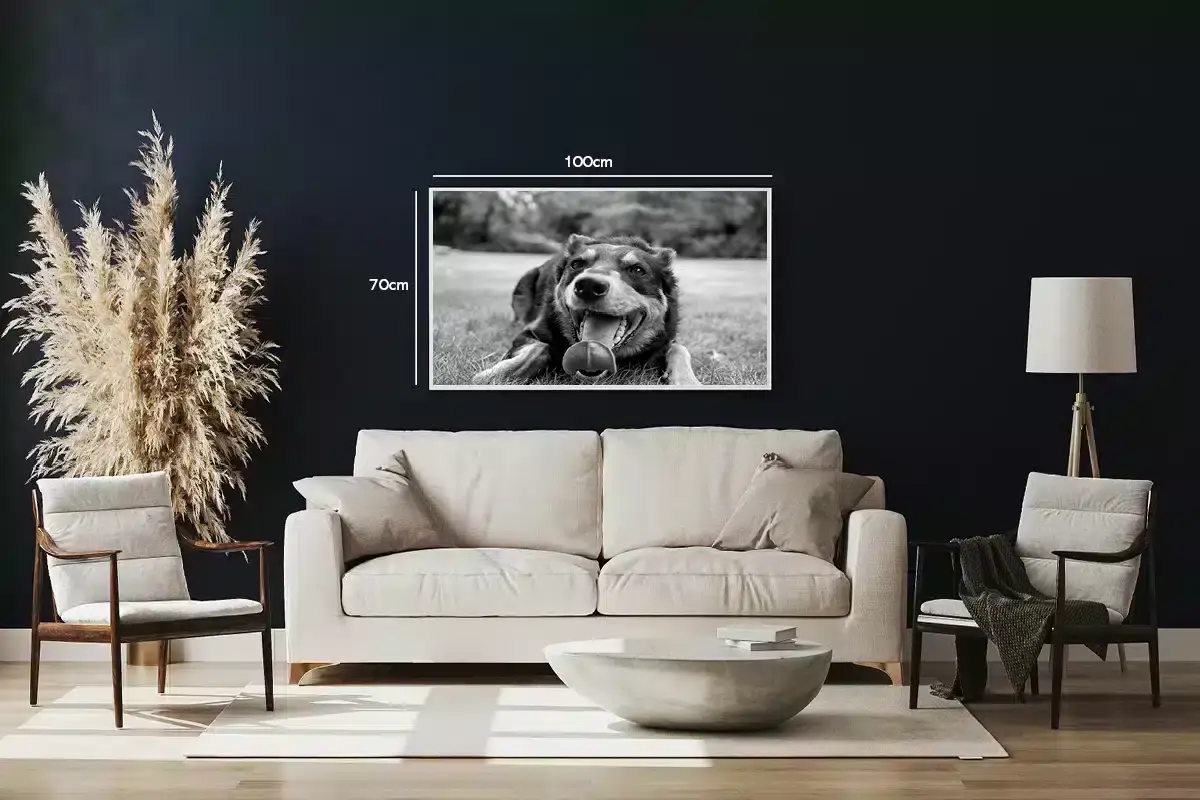 Happy Australian Shepherd Plakat