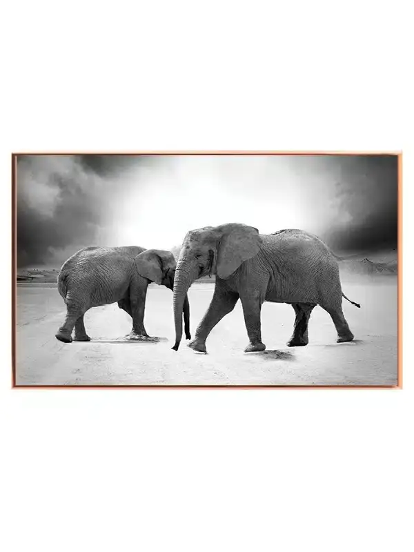 Elephant Desert Walk Plakat