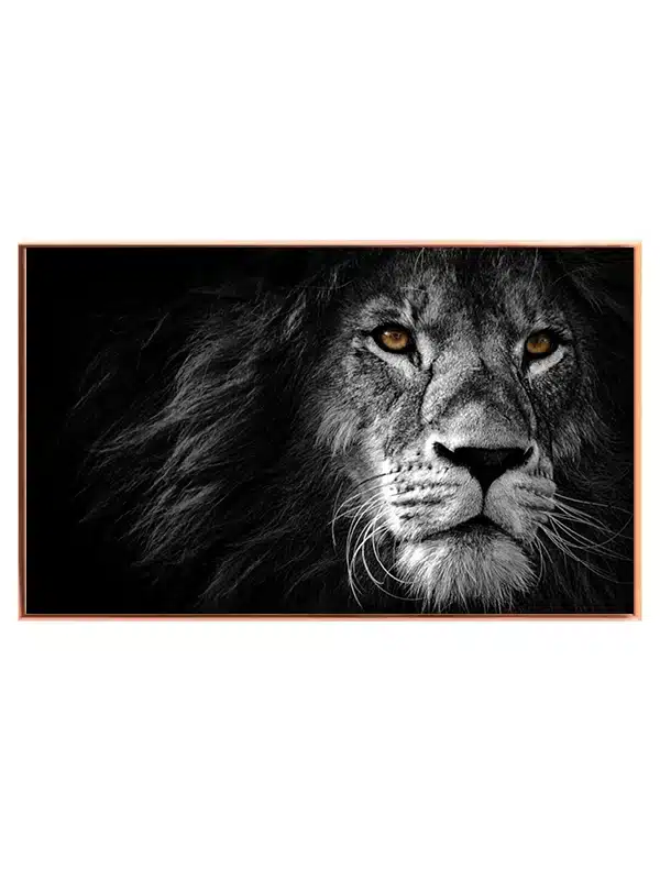 Lion Face Plakat