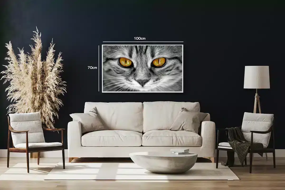 Tabby Cat Plakat