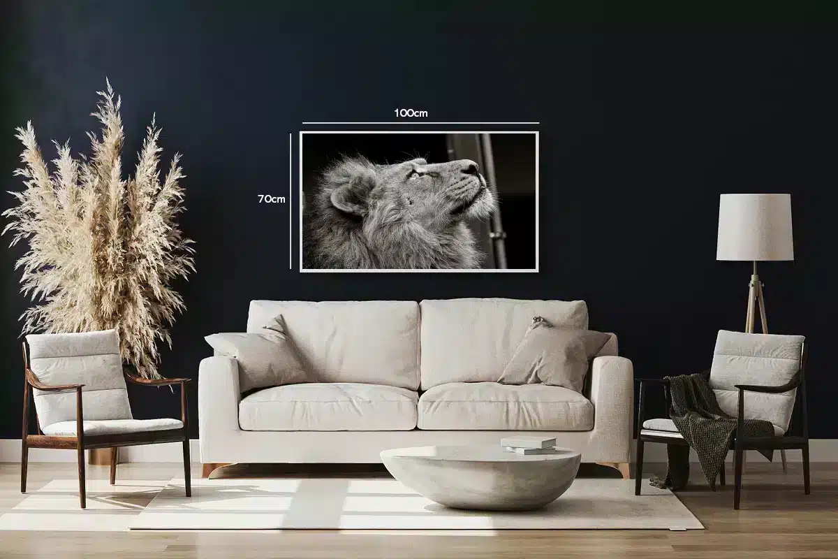 Lion Close Up Plakat
