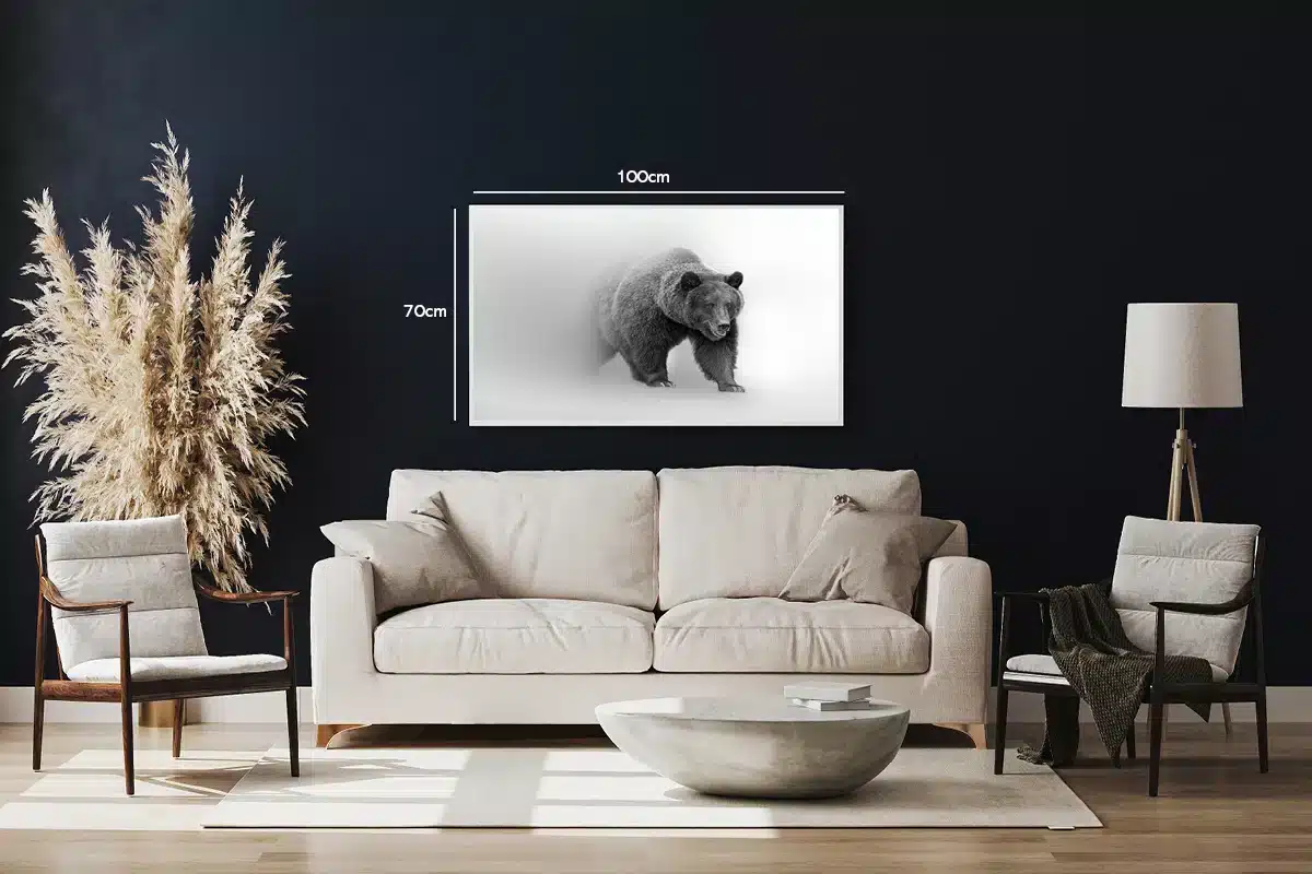Brown Bear Plakat