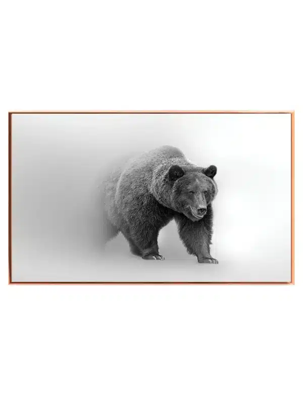 Brown Bear Plakat