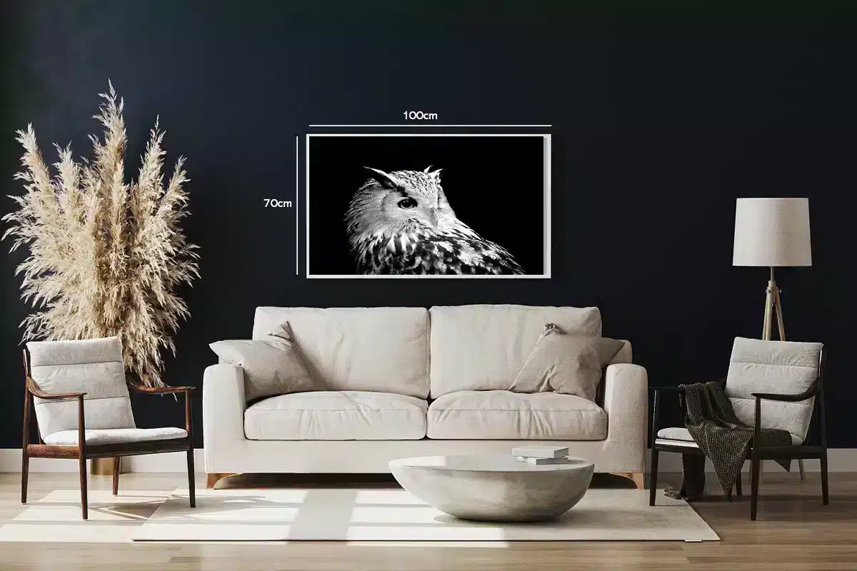 Eagle Owl Plakat
