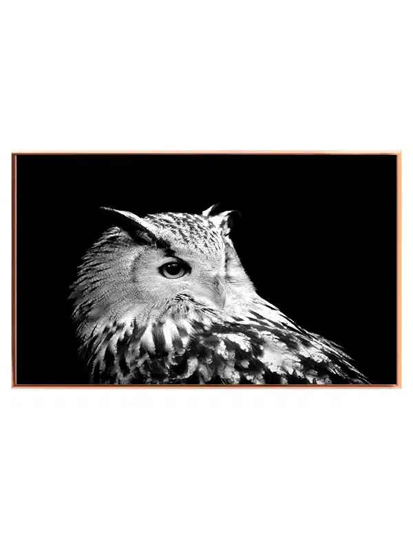 Eagle Owl Plakat