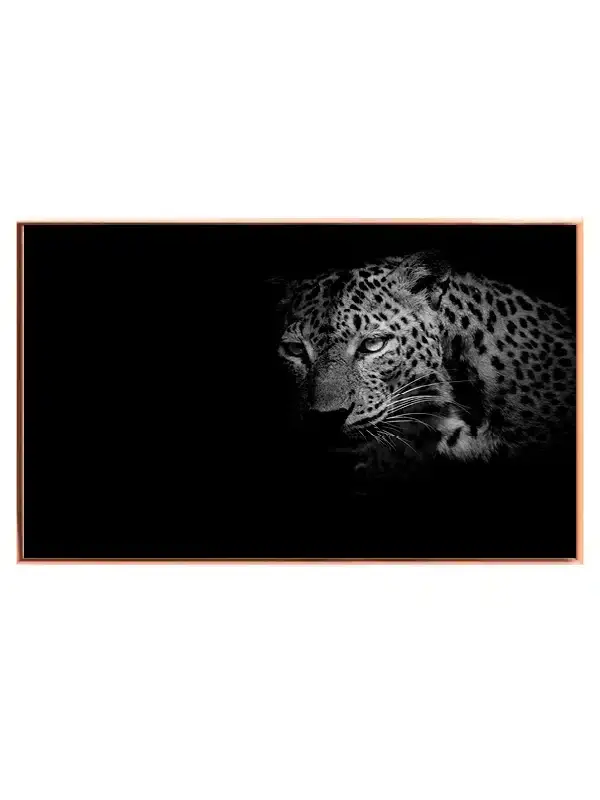 Leopard Plakat