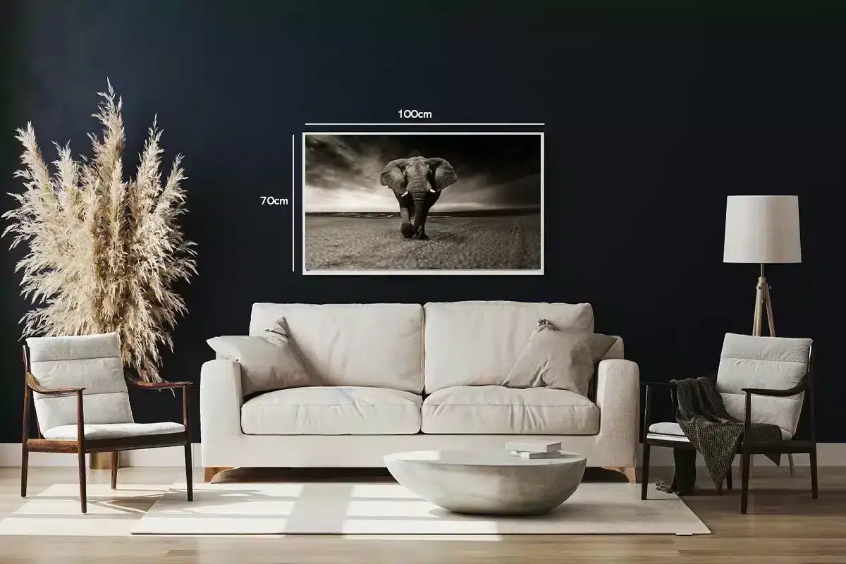 Elephant Beach Plakat