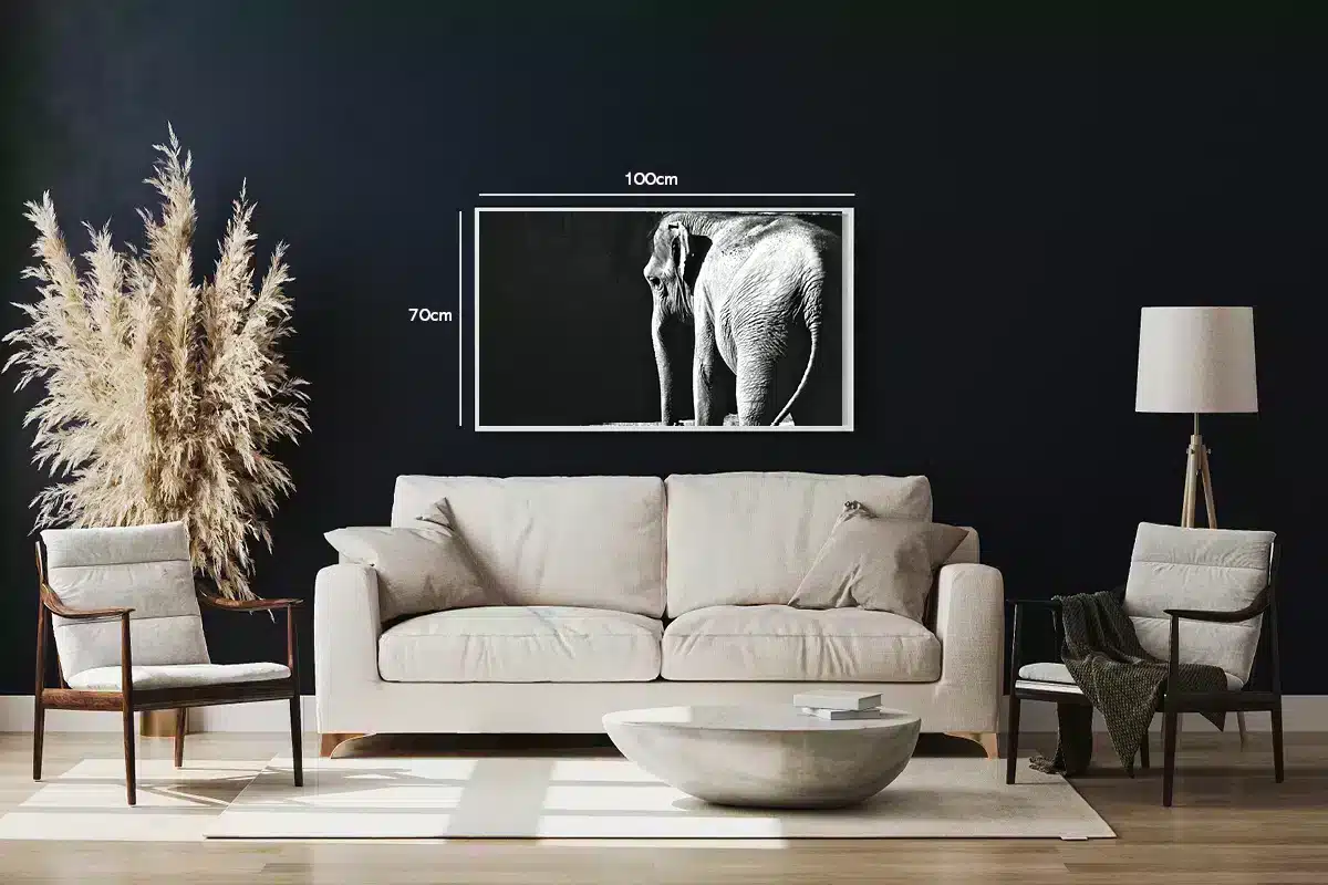 Elephant Side View Plakat