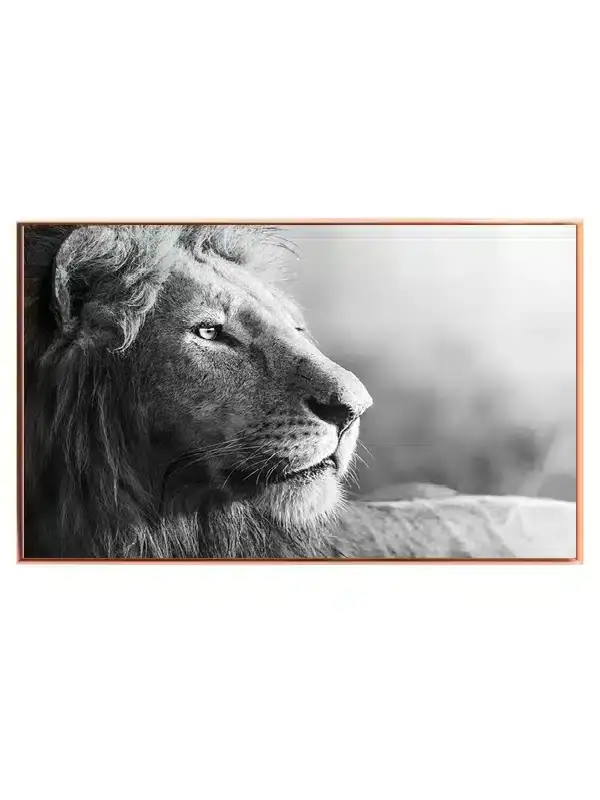 Lion Close Plakat