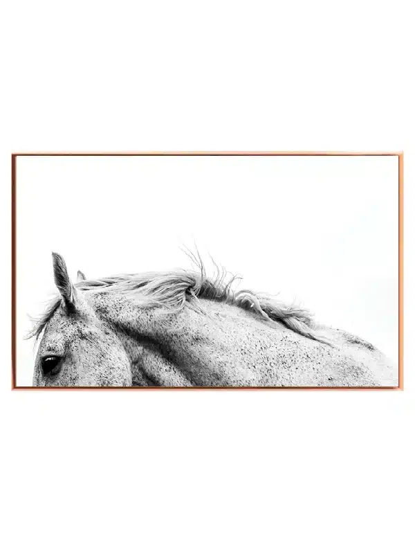 Speckled Horse Plakat