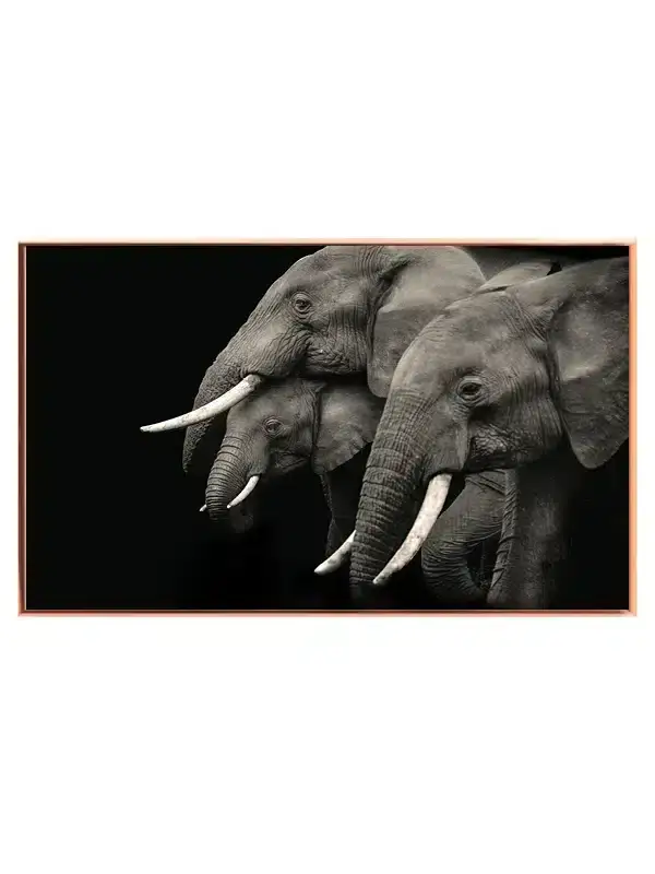 Elephant Family Plakat
