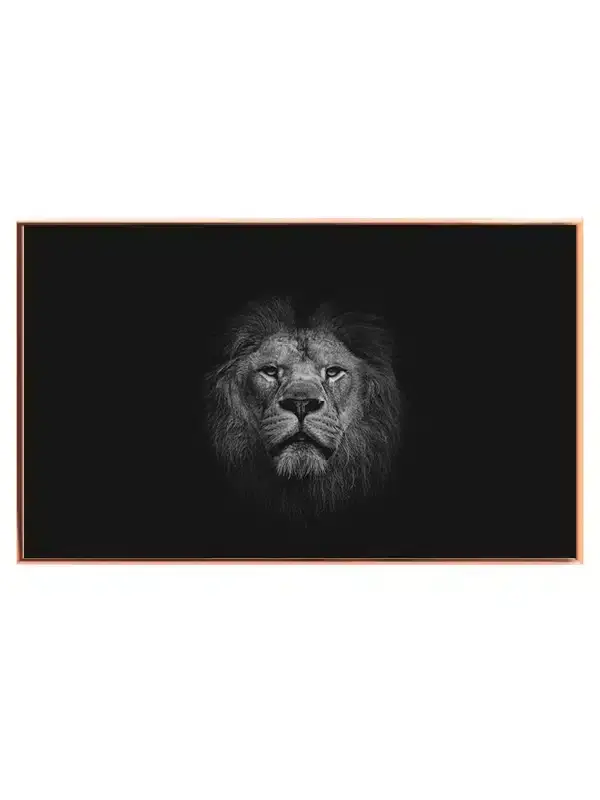 Lion Head Closeup Plakat