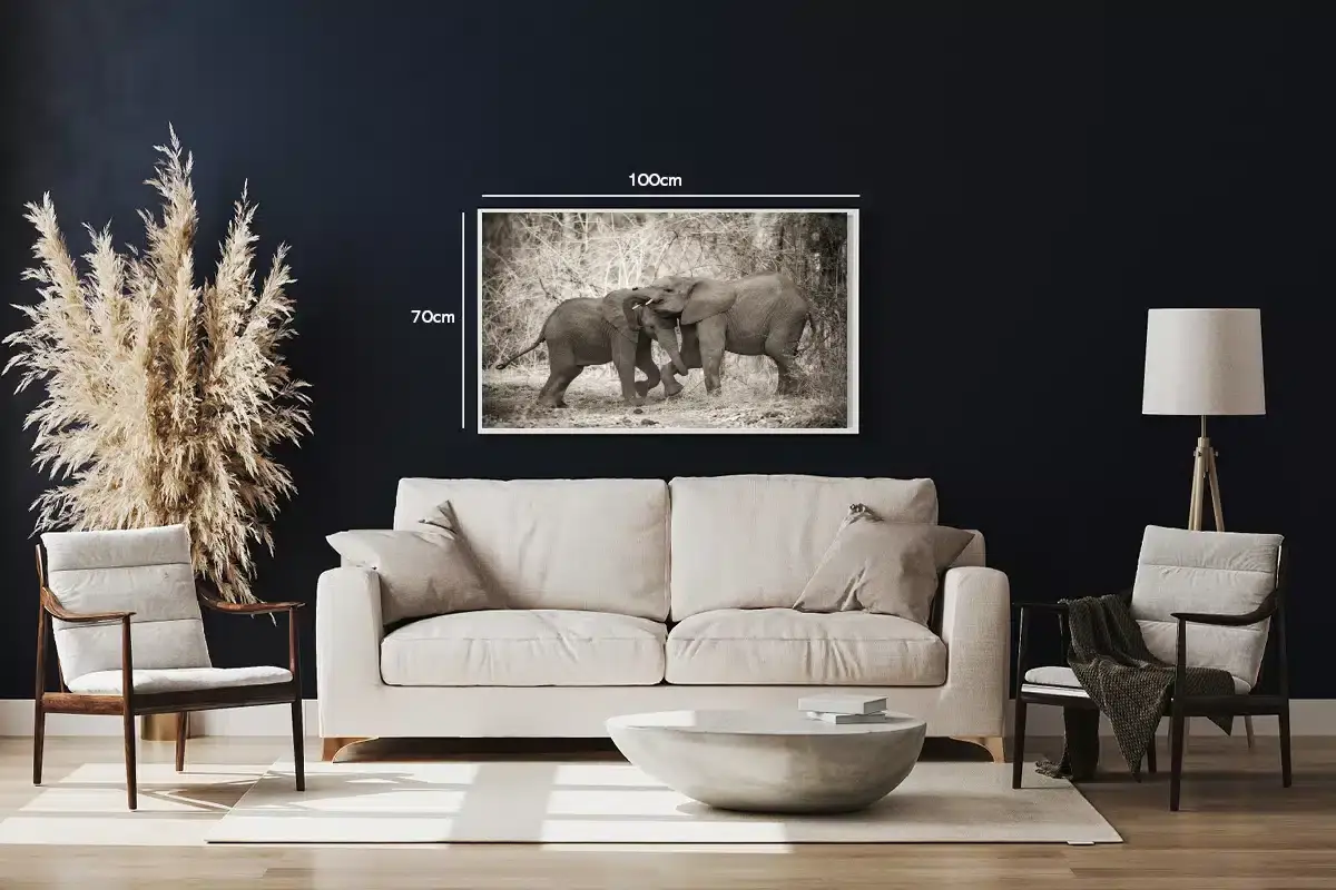 African Elephant Calves Plakat