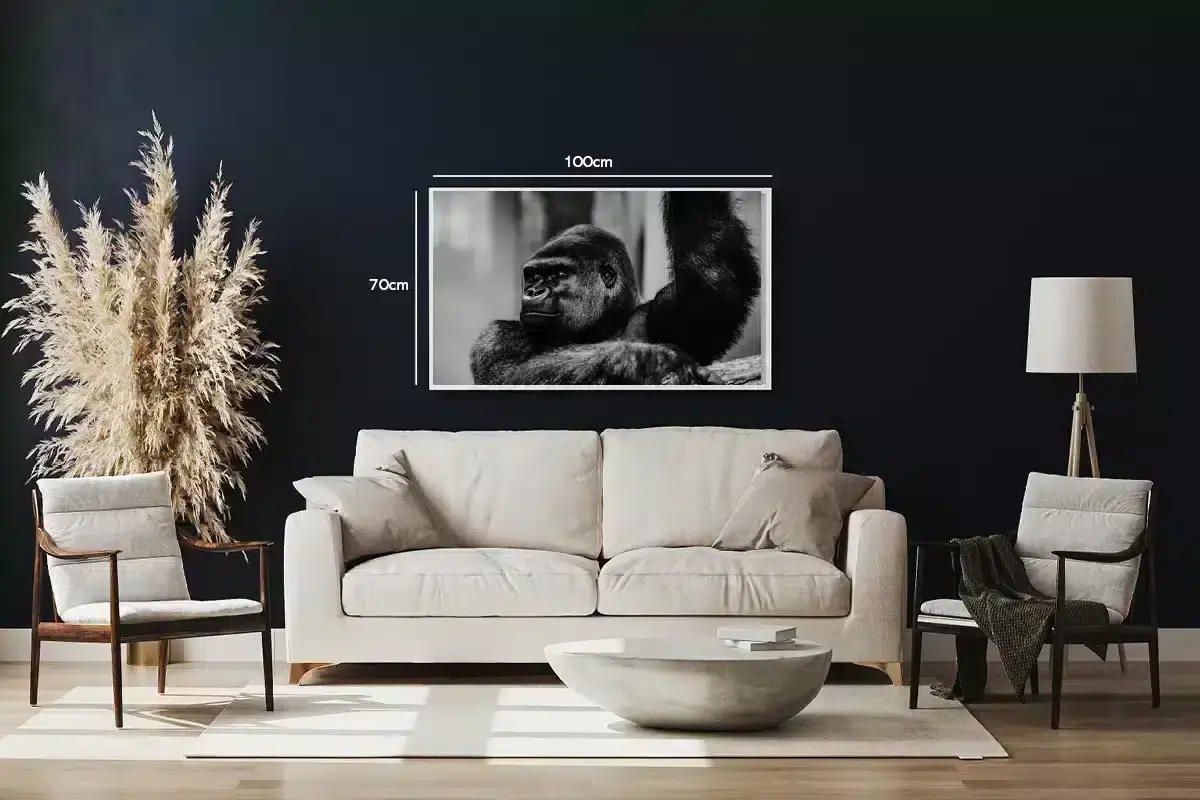 Silverback Gorilla Plakat