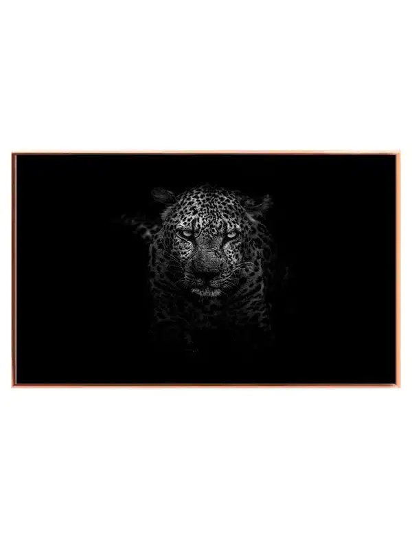 Leopard In Darkness Plakat