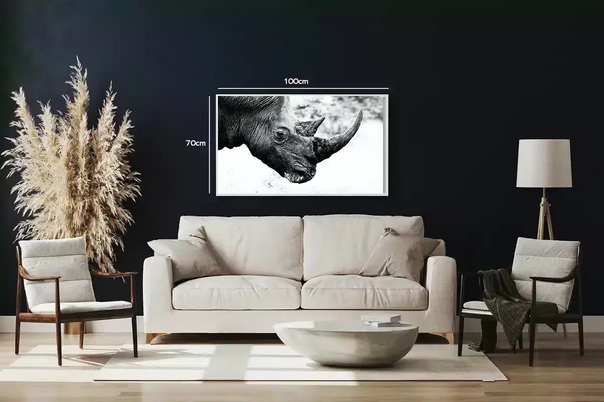 Black Rhinoceros Plakat