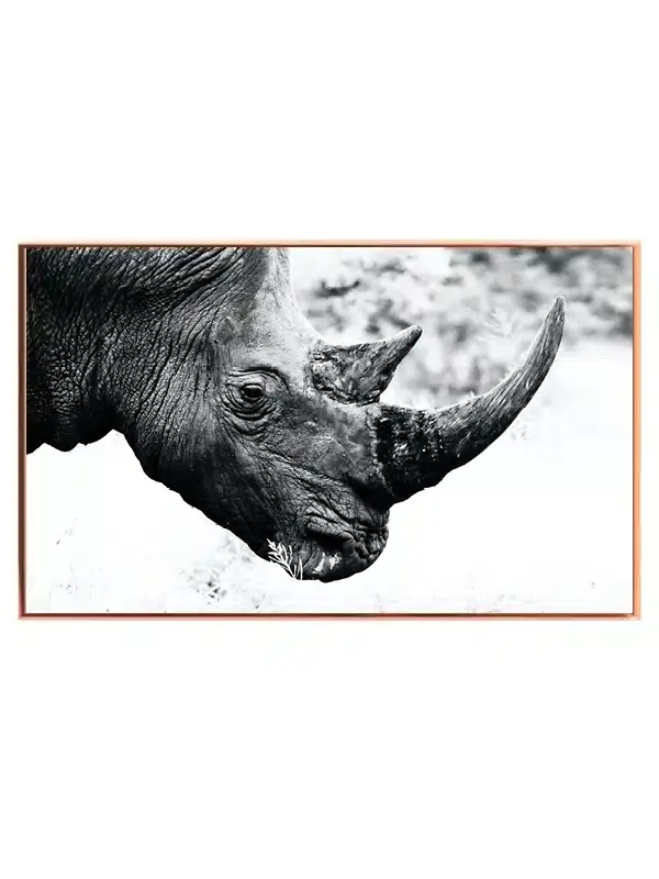 Black Rhinoceros Plakat