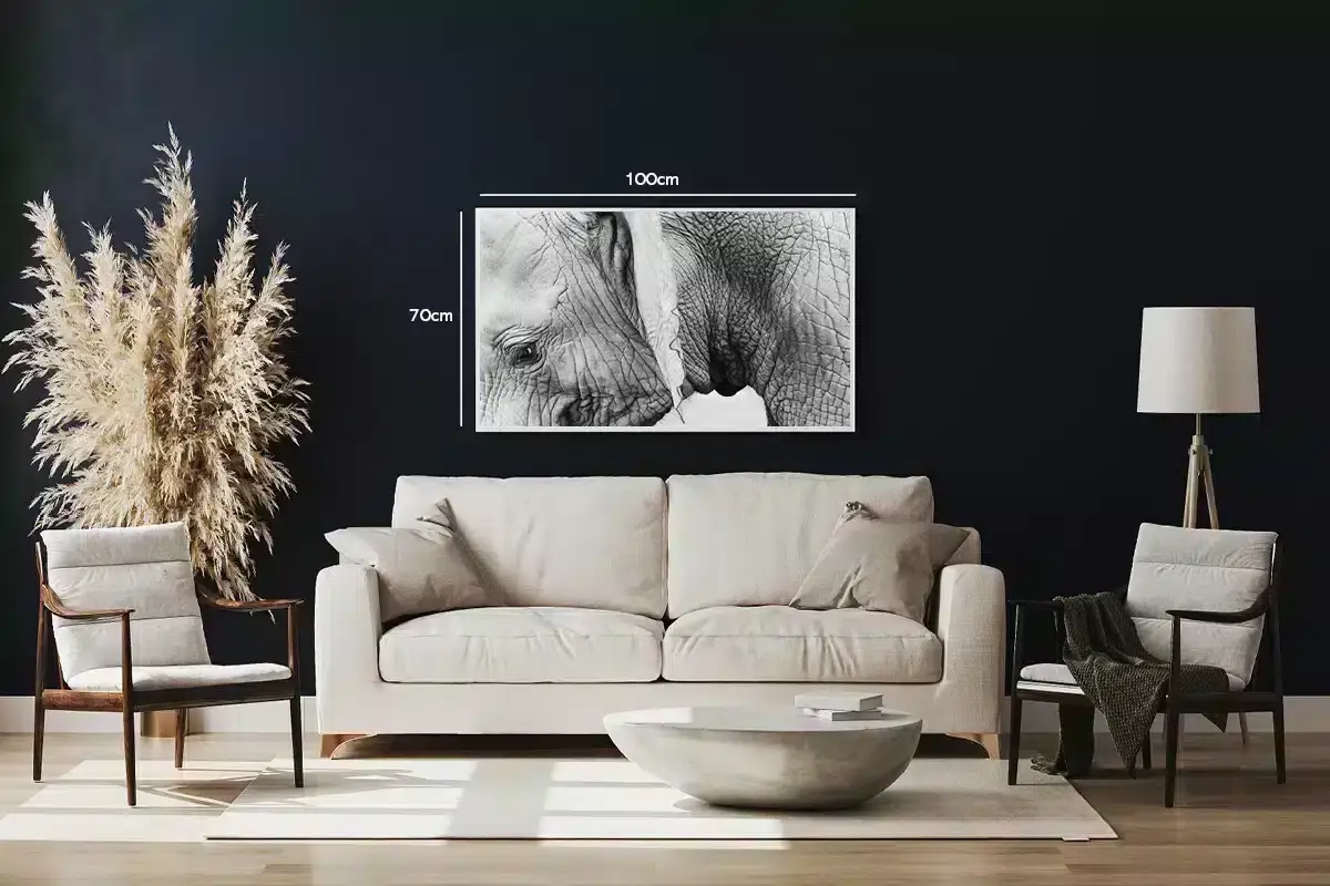 Elephant Closeup Plakat