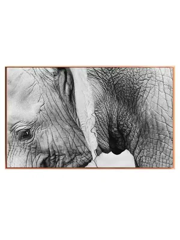 Elephant Closeup Plakat