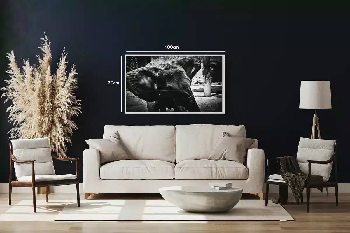 Elephant Muddy Portrait Plakat