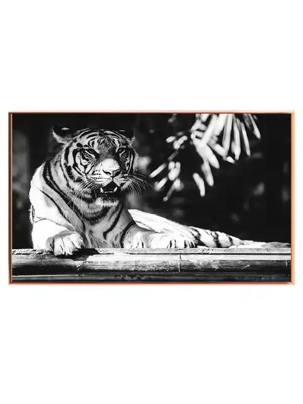 Bengal Tiger Plakat