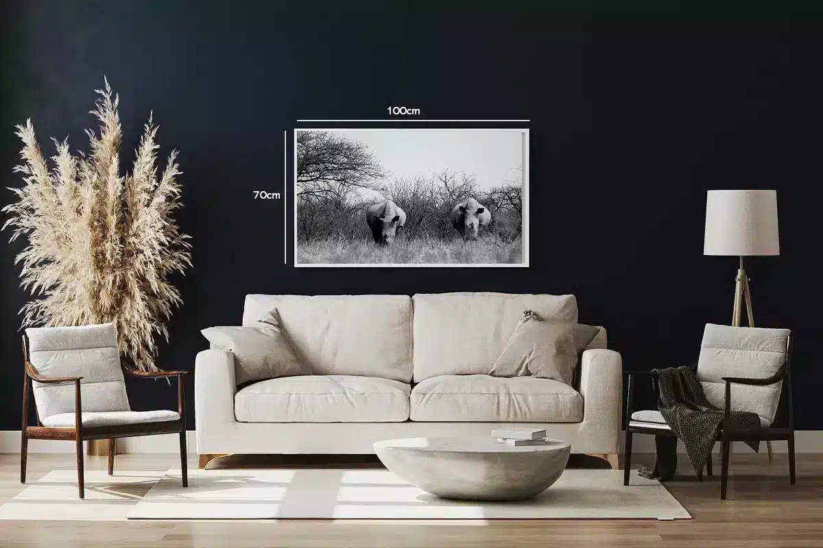 White Rhino Pair Plakat