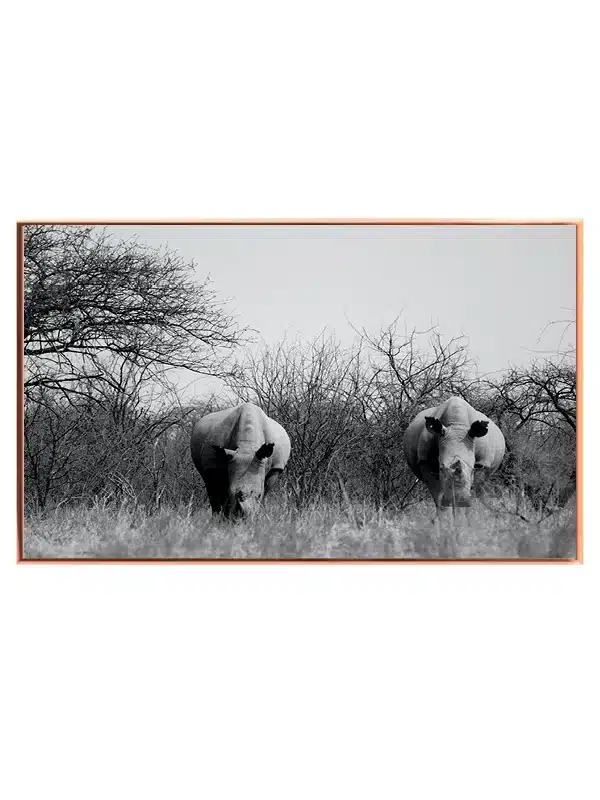 White Rhino Pair Plakat
