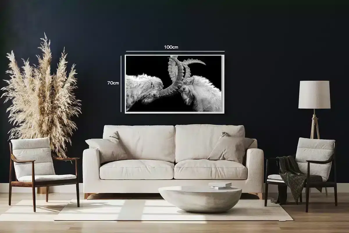 Mountain Goats Plakat