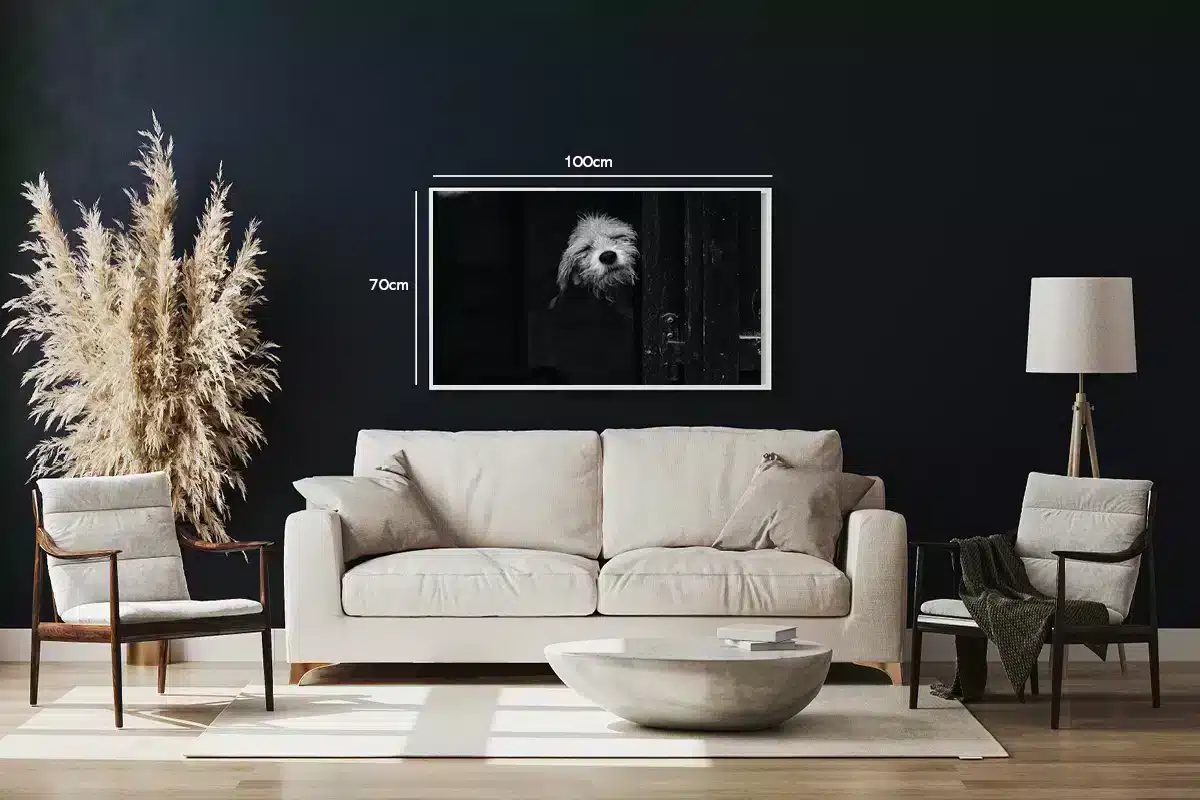 Scruffy Dog Plakat