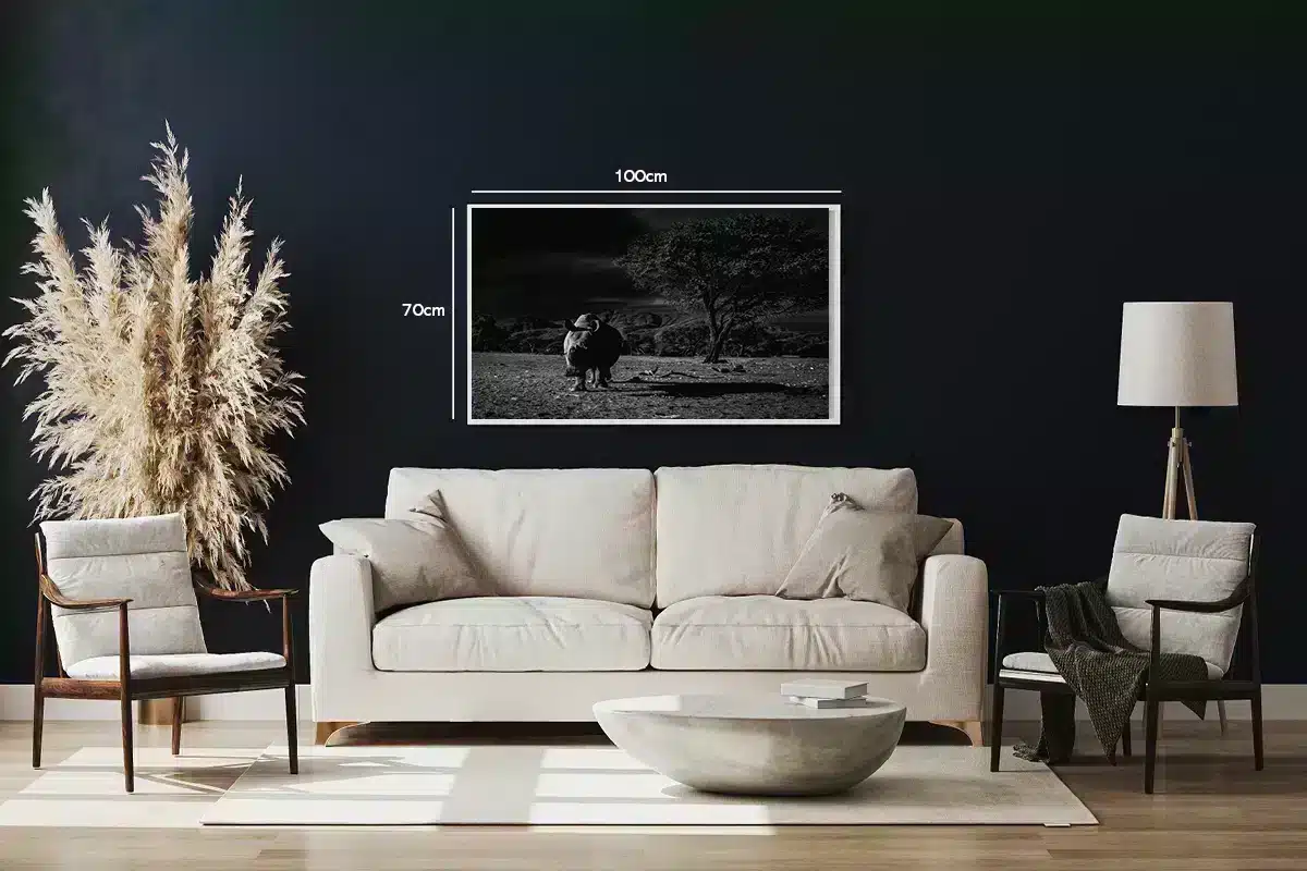 Black Rhino Plakat