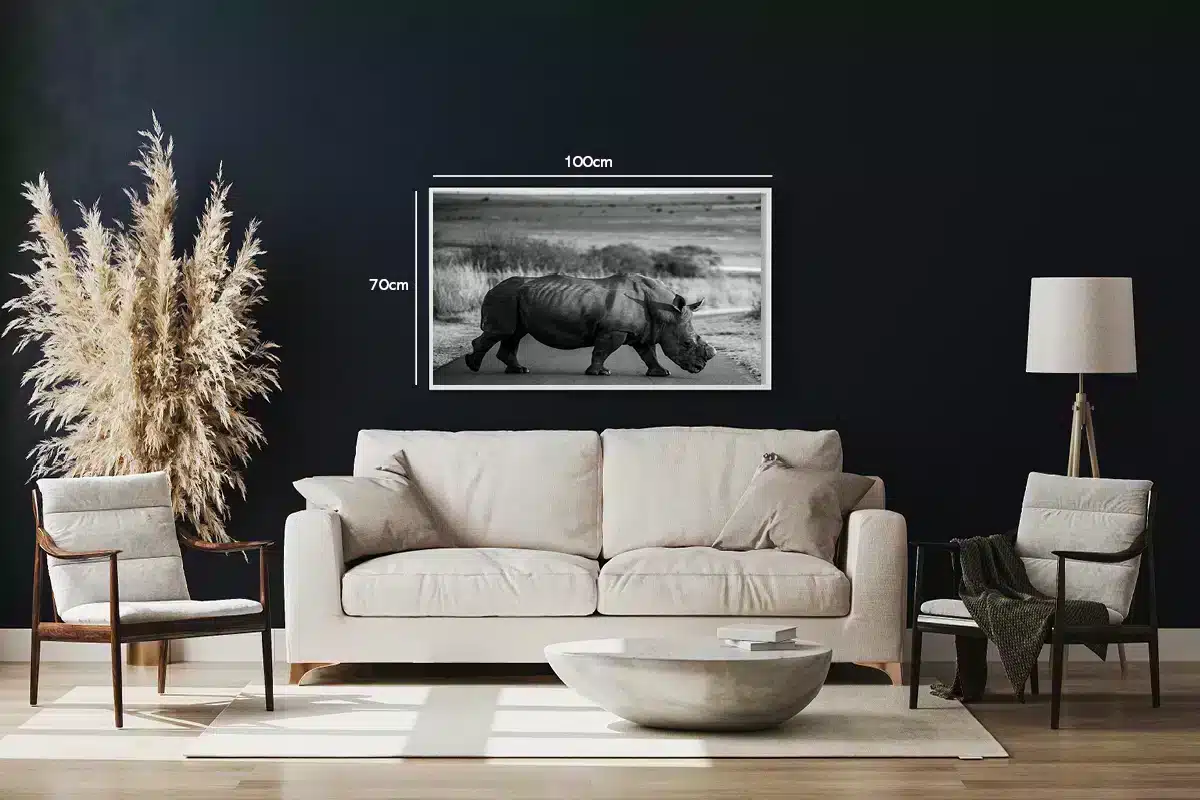 White Rhinoceros Crossing Plakat