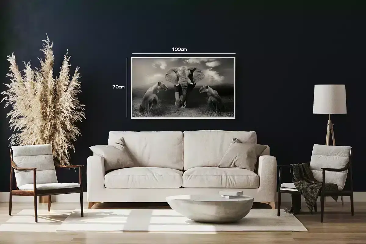Elephant With Lionesses Plakat