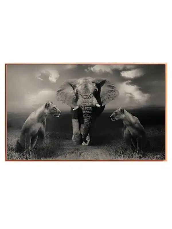 Elephant With Lionesses Plakat