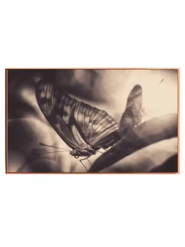 Butterfly Plakat