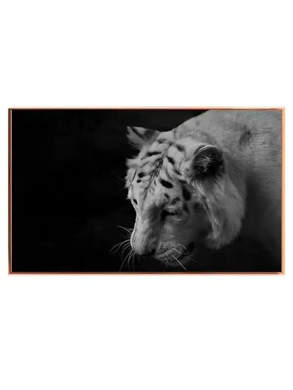 White Tiger Plakat