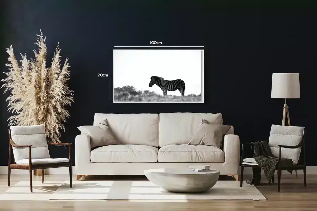 Zebra Side View Plakat