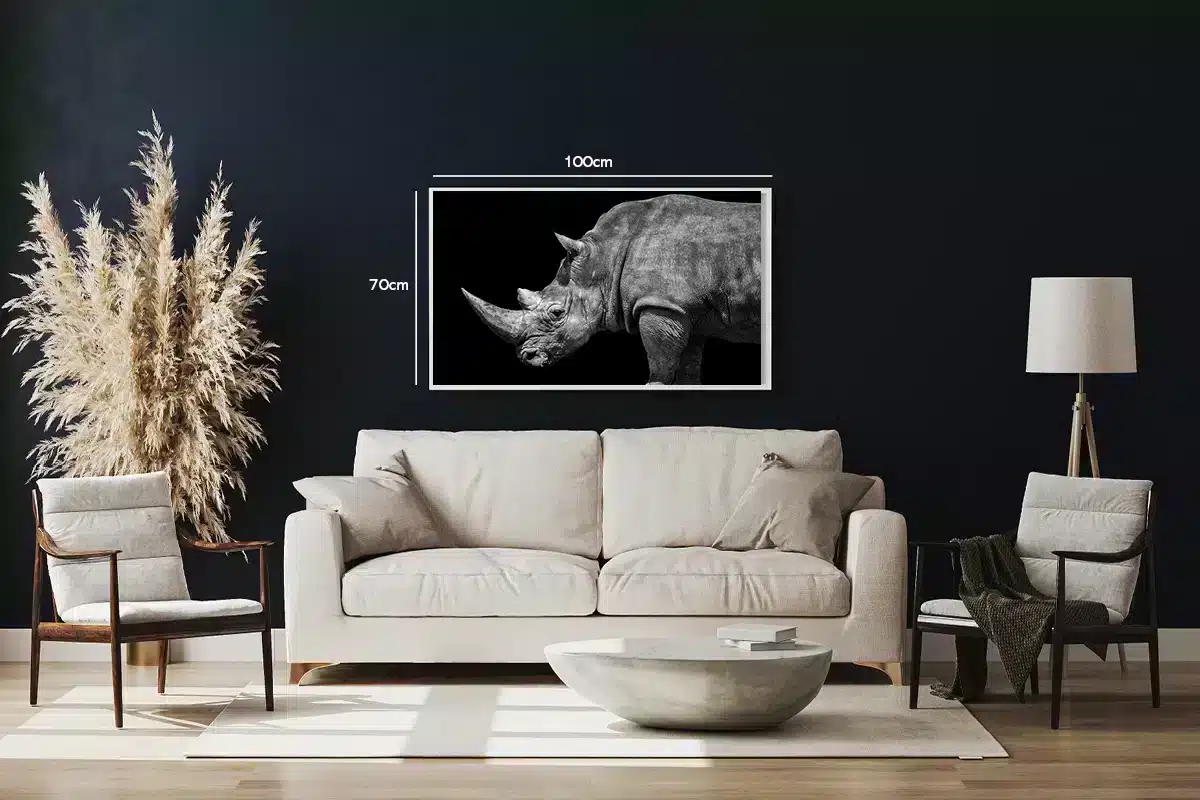 White Rhinoceros Plakat