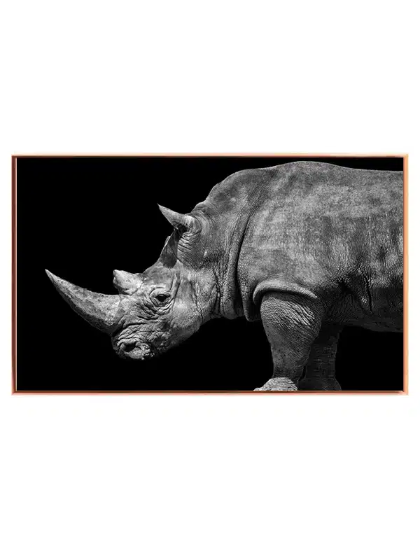 White Rhinoceros Plakat