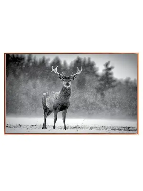 Red Deer Plakat