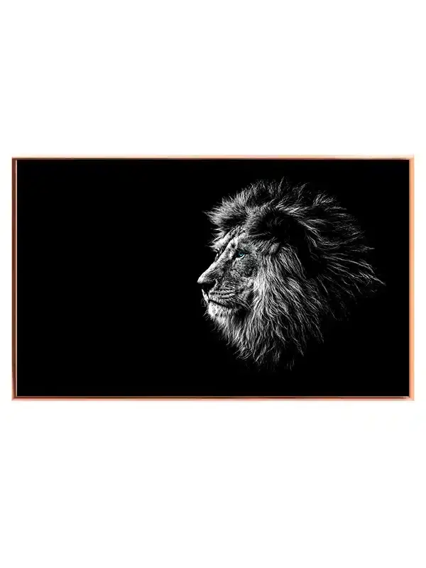 Lion Blue Eyes Plakat