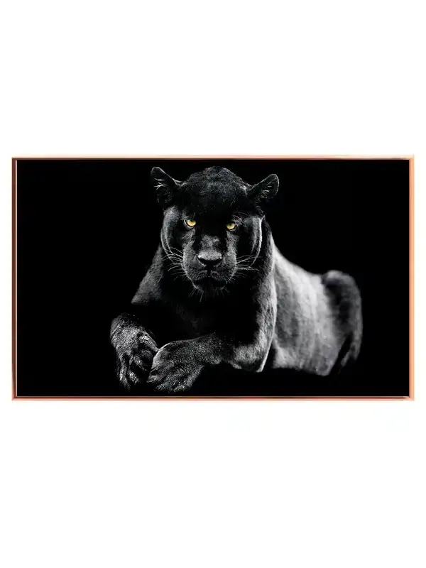 Black Panther Plakat