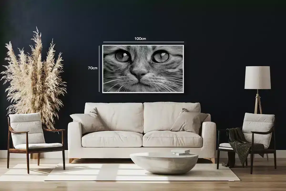 Cat Closeup Plakat