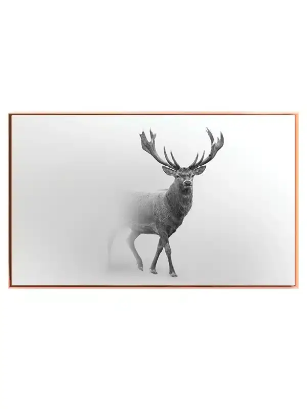 Deer In Mist Plakat